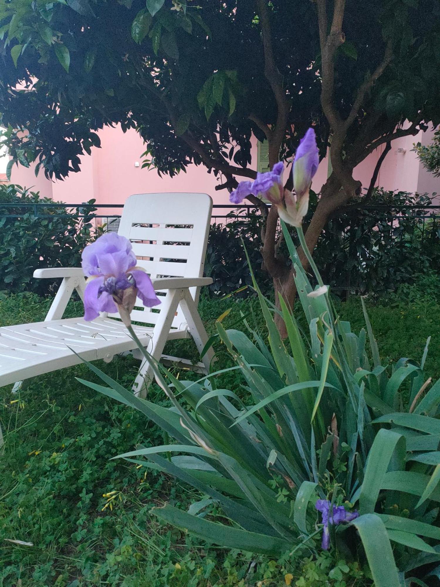 La Casa Di Cri Al Mare Due Villa Borgio Verezzi Bagian luar foto